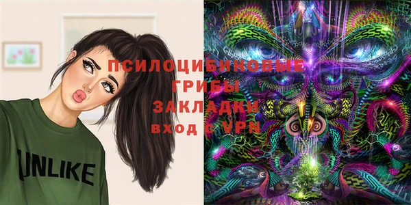 PSILOCYBIN Тайга