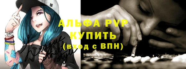 молекула духа Кулебаки