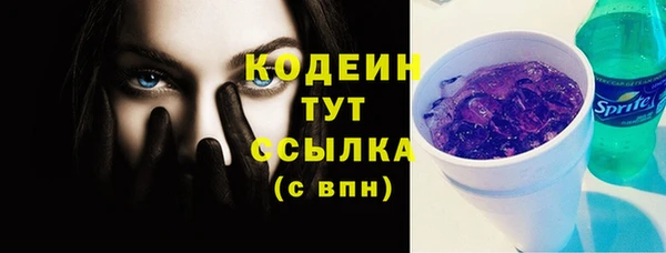 молекула духа Кулебаки