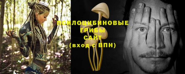 молекула духа Кулебаки