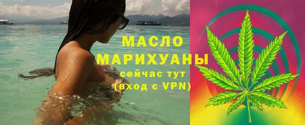 молекула духа Кулебаки