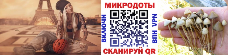 Галлюциногенные грибы мухоморы  Сольцы 