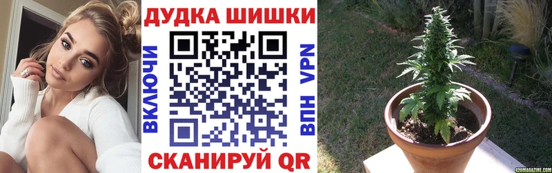 Каннабис SATIVA & INDICA гидра онион Сольцы